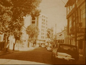 rua corenel pitta de castro