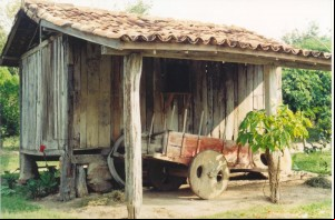 pesque e pague sao joao 